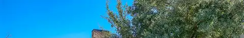 Sylvan, PALESTINE, TX 75801