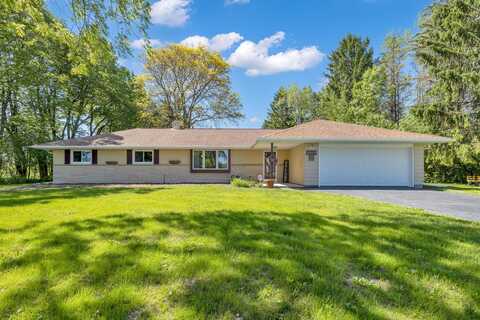 Elm, GERMANTOWN, WI 53022