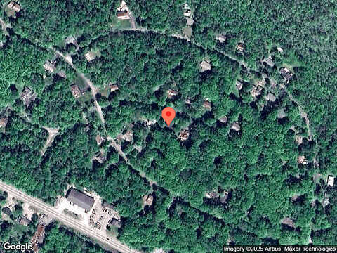 Fern, POCONO SUMMIT, PA 18346