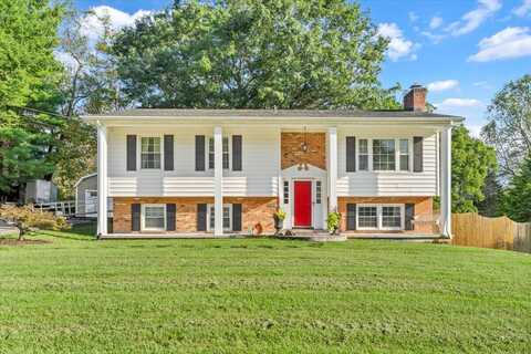 Spruce, BLUE RIDGE, VA 24064