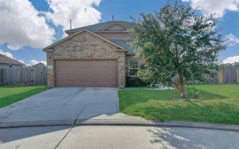 Striped Maple, TOMBALL, TX 77375