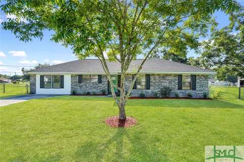 Chap, LUDOWICI, GA 31316