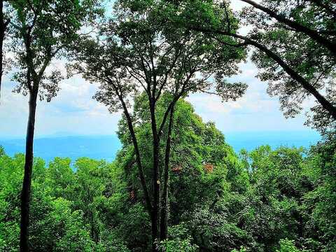 Dogwood, HILLSVILLE, VA 24343