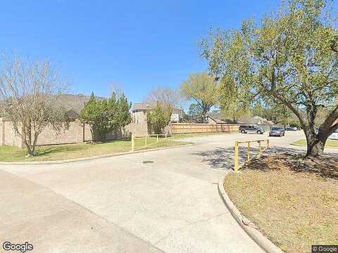 Ficus, SPRING, TX 77388