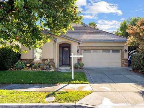 Snapdragon, BRENTWOOD, CA 94513