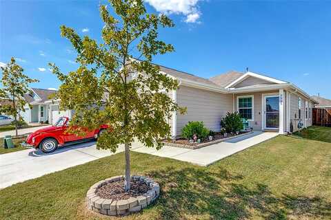 Jackrabbit, MCKINNEY, TX 75071