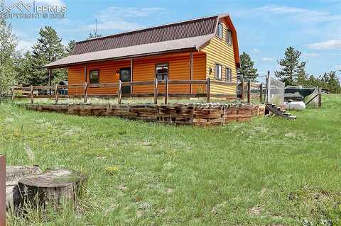 Navajo, LAKE GEORGE, CO 80827