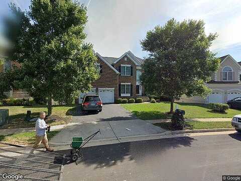 Camellia, ASHBURN, VA 20147