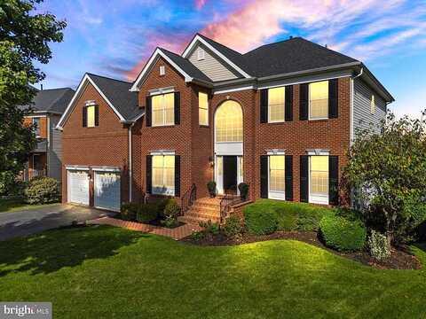 Camellia, ASHBURN, VA 20147