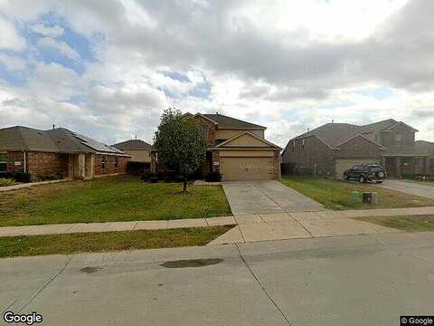 Pampa Grass, PRINCETON, TX 75407
