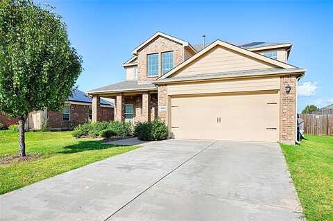 Pampa Grass, PRINCETON, TX 75407