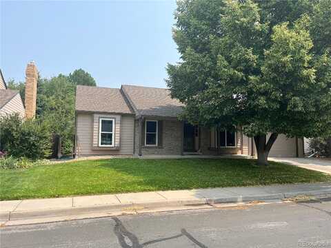 Kettle, LITTLETON, CO 80120