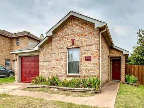 Wax Berry, DALLAS, TX 75249