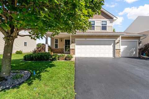 Pottok, SHAKOPEE, MN 55379