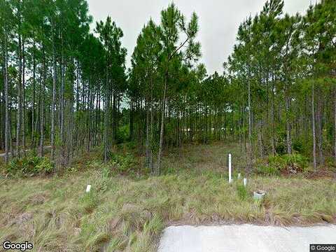 Jack Knife, INLET BEACH, FL 32461