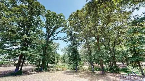Private Road 52369, PITTSBURG, TX 75686