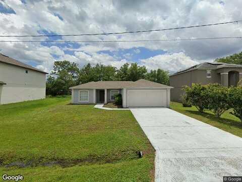 Parakeet, KISSIMMEE, FL 34759