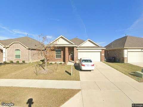 Tulip Poplar, MCKINNEY, TX 75071