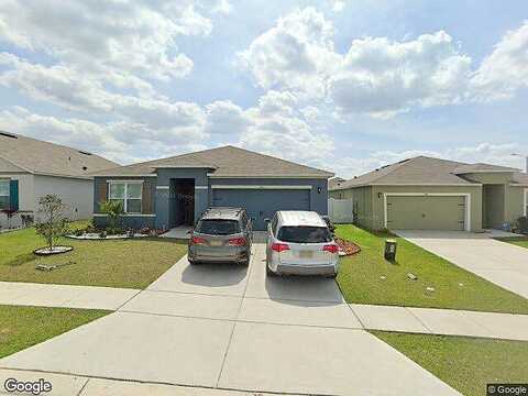 Ludisia, DAVENPORT, FL 33837