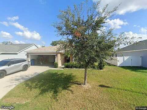 Cattail, LAKE ALFRED, FL 33850