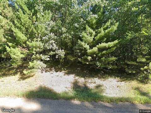 Chokecherry, NEVIS, MN 56467