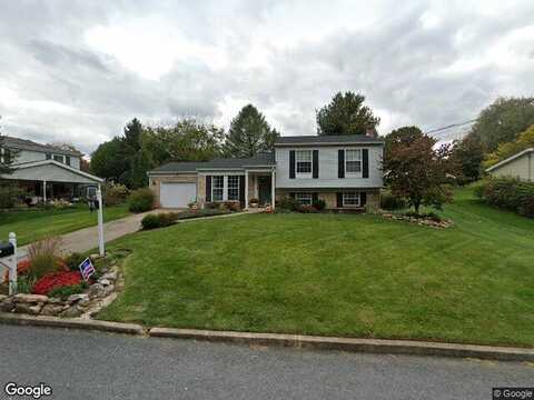 Mallard, CAMP HILL, PA 17011
