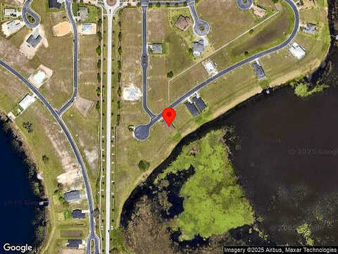 Caladium, LAKE ALFRED, FL 33850