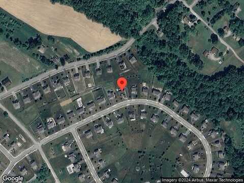 Naughton, EVANS CITY, PA 16033