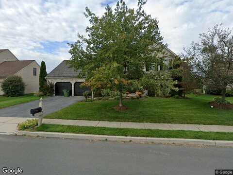 Blue Jay, HUMMELSTOWN, PA 17036