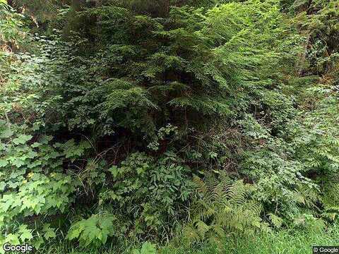 Sweet Creek, MAPLETON, OR 97453