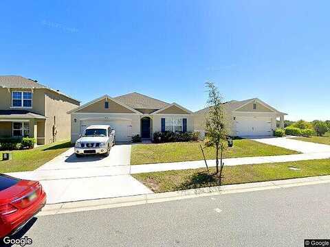 Black Walnut, CLERMONT, FL 34715