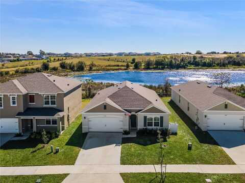 Black Walnut, CLERMONT, FL 34715