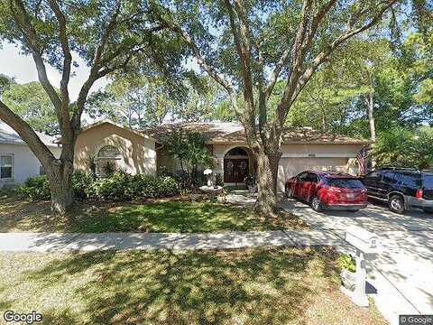 Norchester, TAMPA, FL 33647