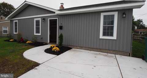 Daffodil, LEVITTOWN, PA 19055