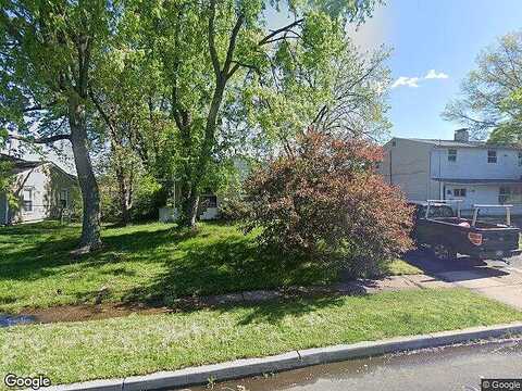 Daffodil, LEVITTOWN, PA 19055