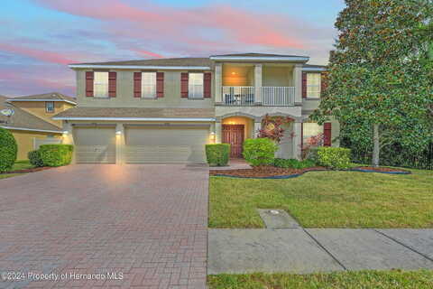 Earlham, CLEARWATER, FL 33765