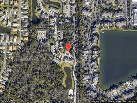 Climbing Ivy, JACKSONVILLE, FL 32216