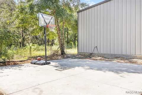 Neige, CRYSTAL RIVER, FL 34428