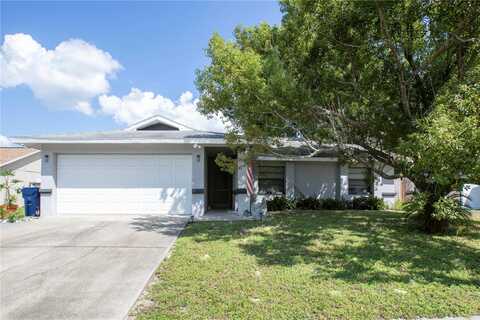 Buttonball, PORT RICHEY, FL 34668