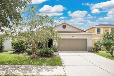 Tangle Rush, GIBSONTON, FL 33534