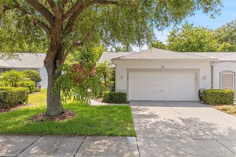 Cleopatra, LAND O LAKES, FL 34637