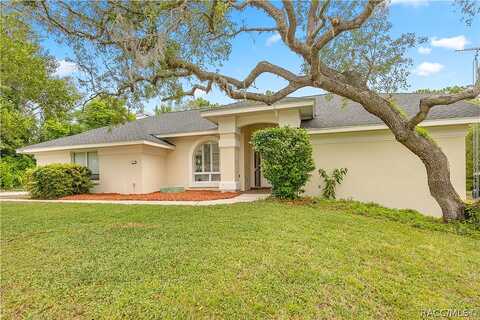 Graytwig, HOMOSASSA, FL 34446