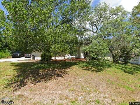 Graytwig, HOMOSASSA, FL 34446