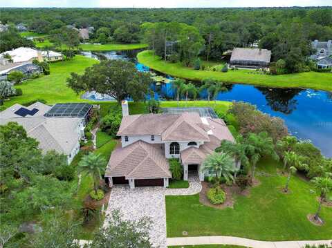 Stonington, TAMPA, FL 33647