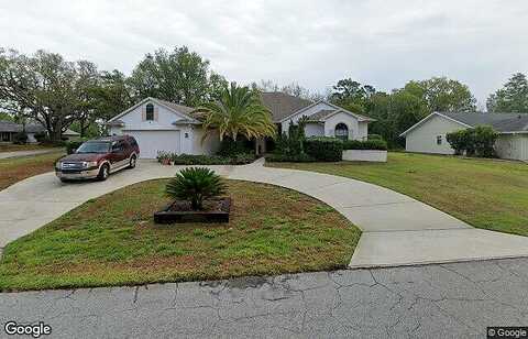 Birchtree, HOMOSASSA, FL 34446