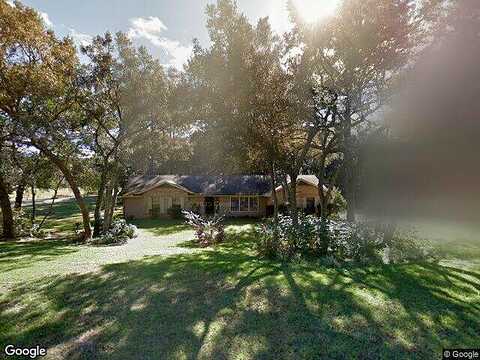 Black Ironwood, DELAND, FL 32724