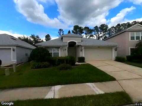 Lookout, WESLEY CHAPEL, FL 33544