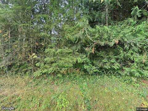 Winston Creek, MOSSYROCK, WA 98564