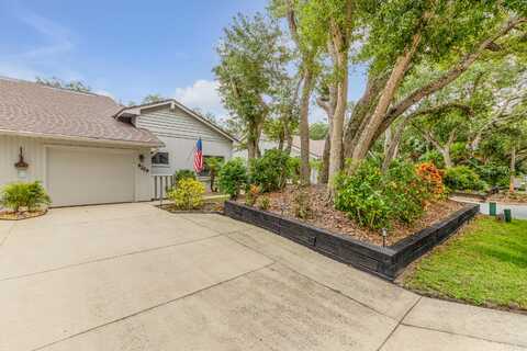 Gull, NEW SMYRNA BEACH, FL 32169
