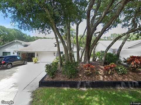 Gull, NEW SMYRNA BEACH, FL 32169